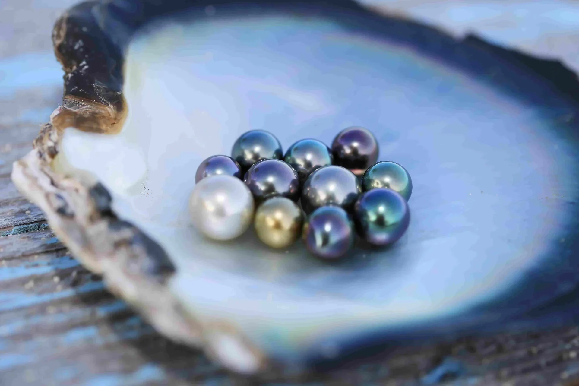 Tahitian pearls hotsell