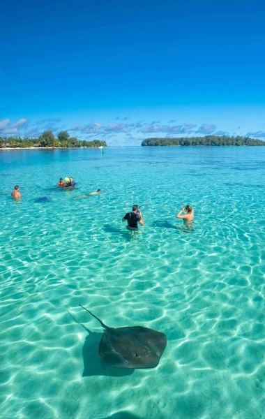 Diving in turquoise water © Mark Fitz