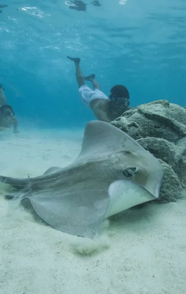 Discover Polynesian history and culture by diving on shipwrecks © Tahiti Tourisme