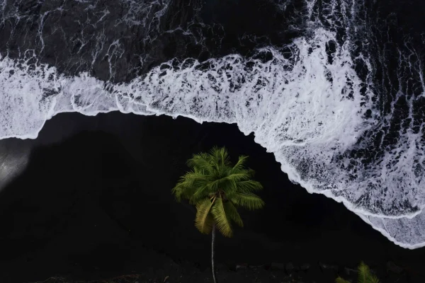 Black sand beach in The Islands of Tahiti © Jim Winter