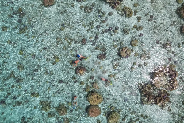 snorkeling en famille dans le lagon de bora bora © Grégoire Le Bacon _ LionAiles