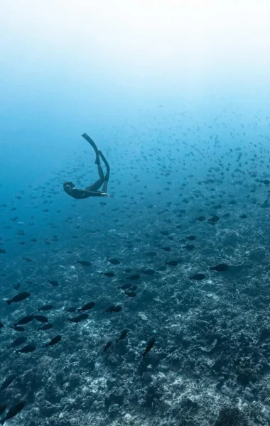 Diving at the pass ©_Alexandre Voyer Fakarava-64_