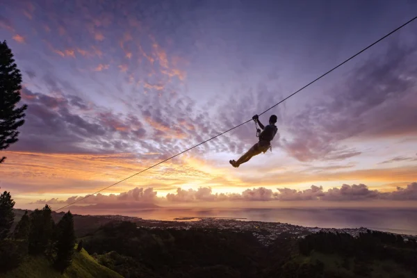 Tree climbing at the Tahiti lookout © Myles McGuinness