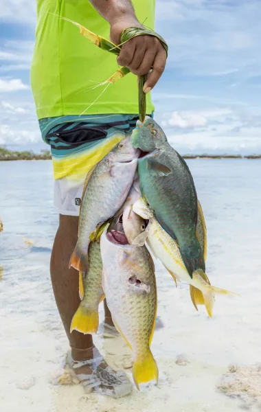 Caught fish©_Grégoire Le Bacon