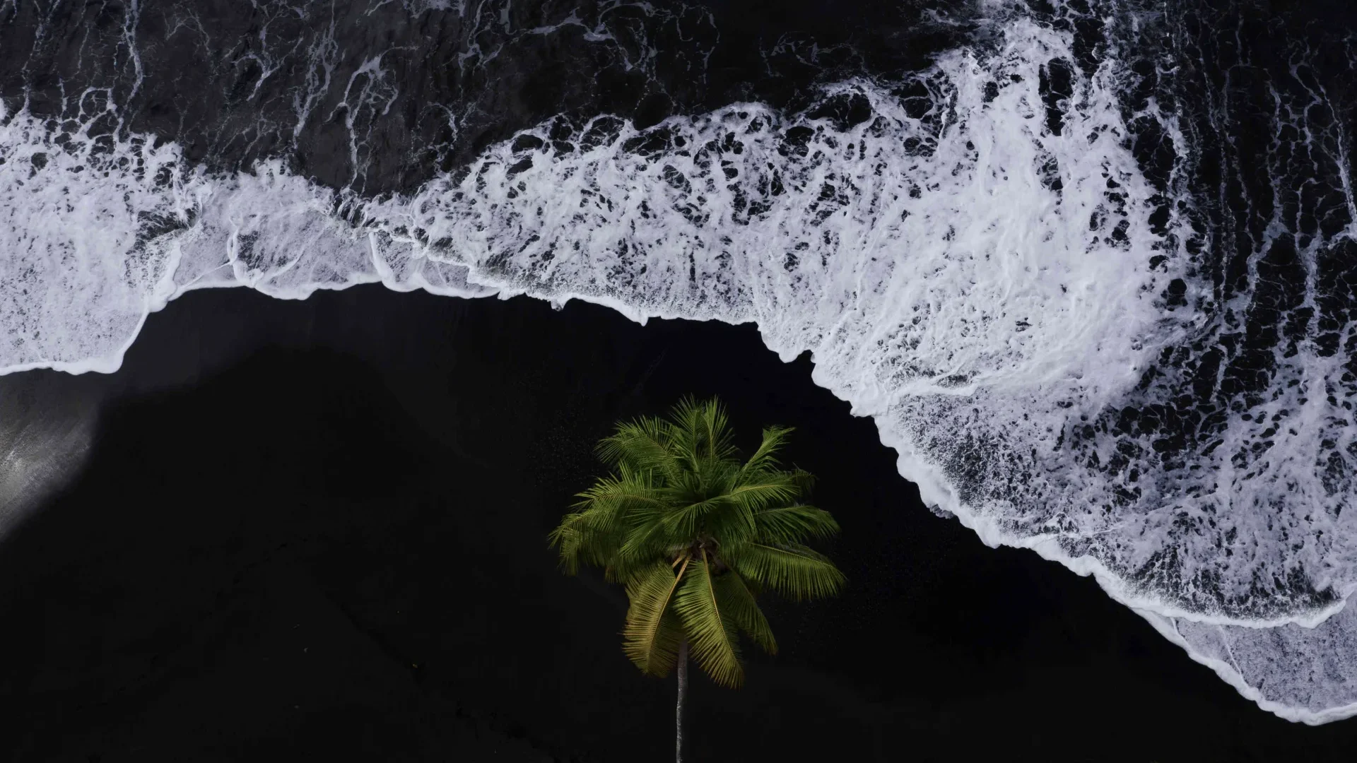 Black sand beach in The Islands of Tahiti © Jim Winter