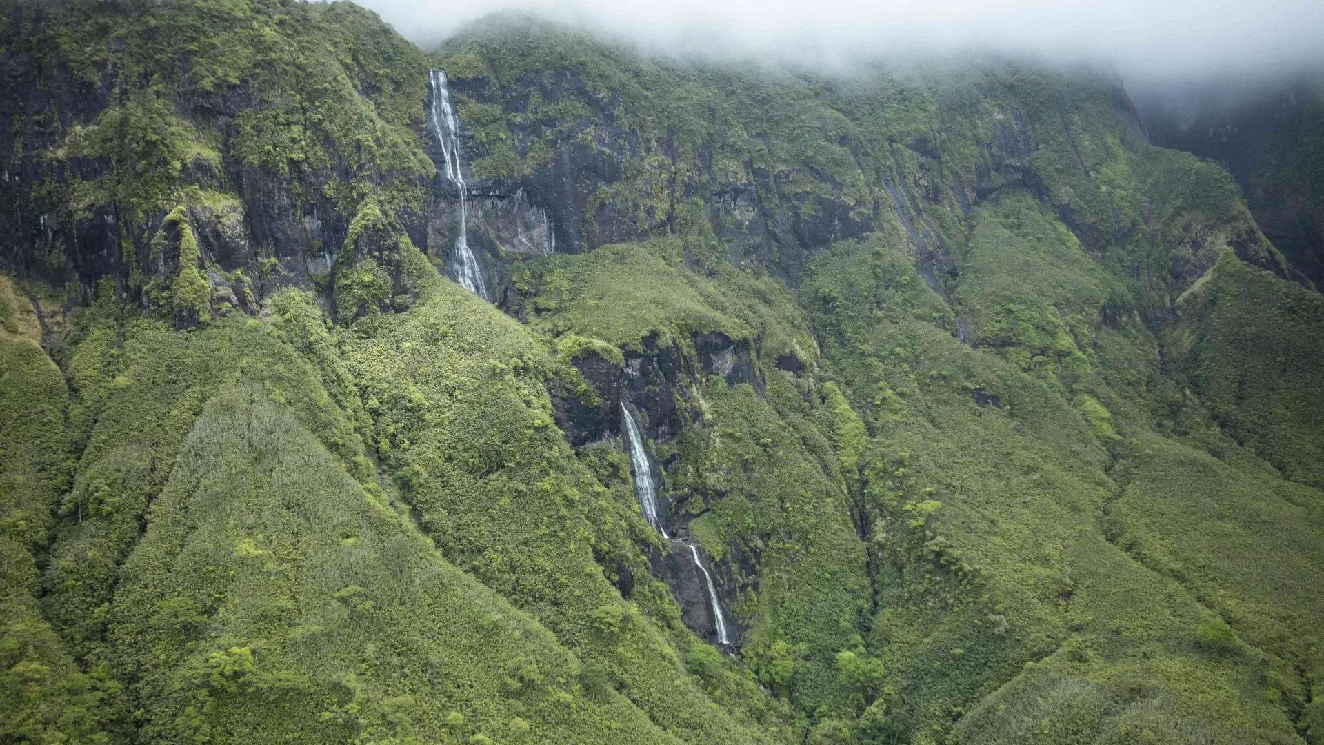 Hiking in the heart of Tahiti's unspoilt nature © Grégoire Le Bacon Tahiti Nui Helicopters