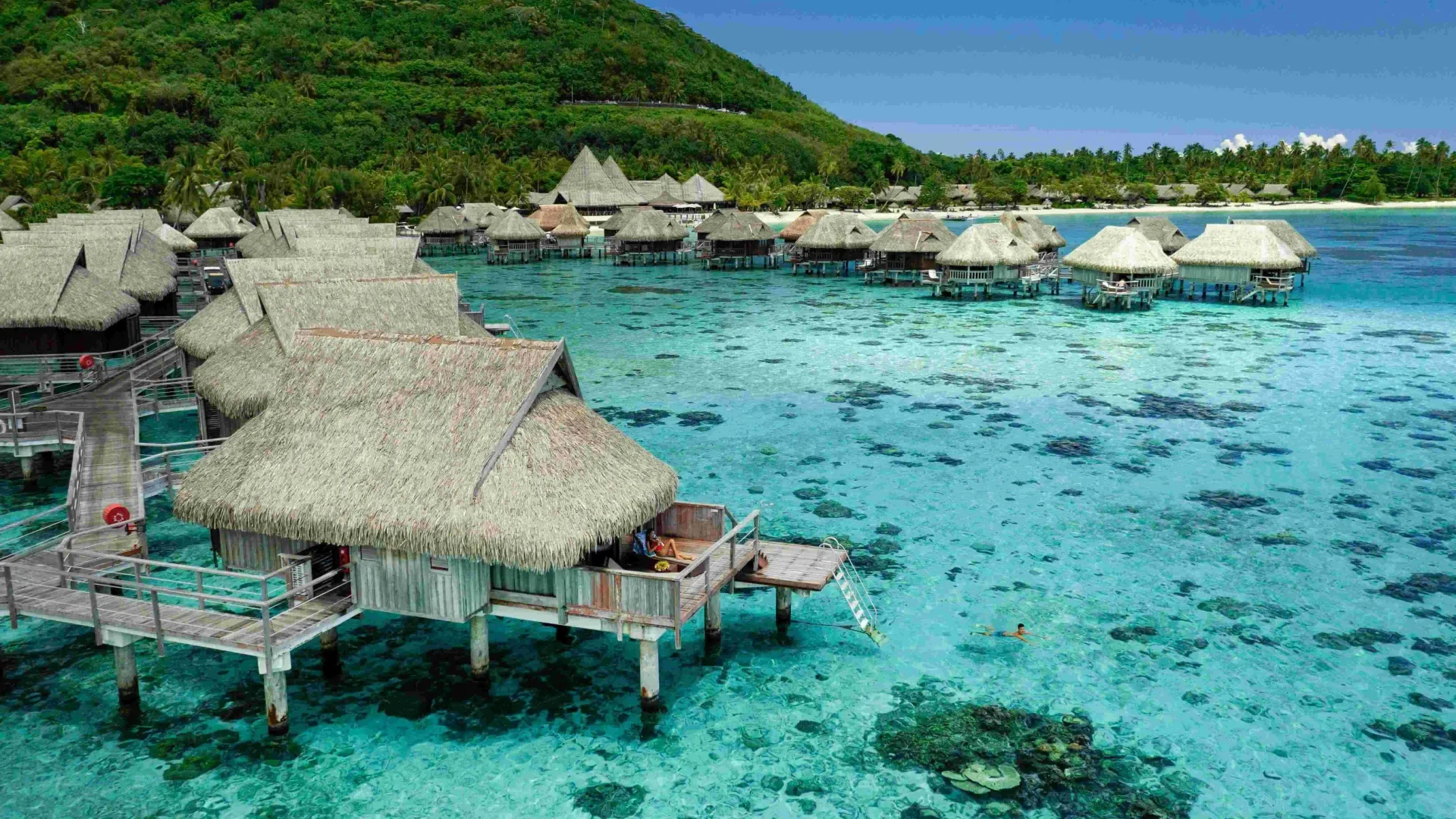Accommodation in Moorea ©_Grégoire Le Bacon