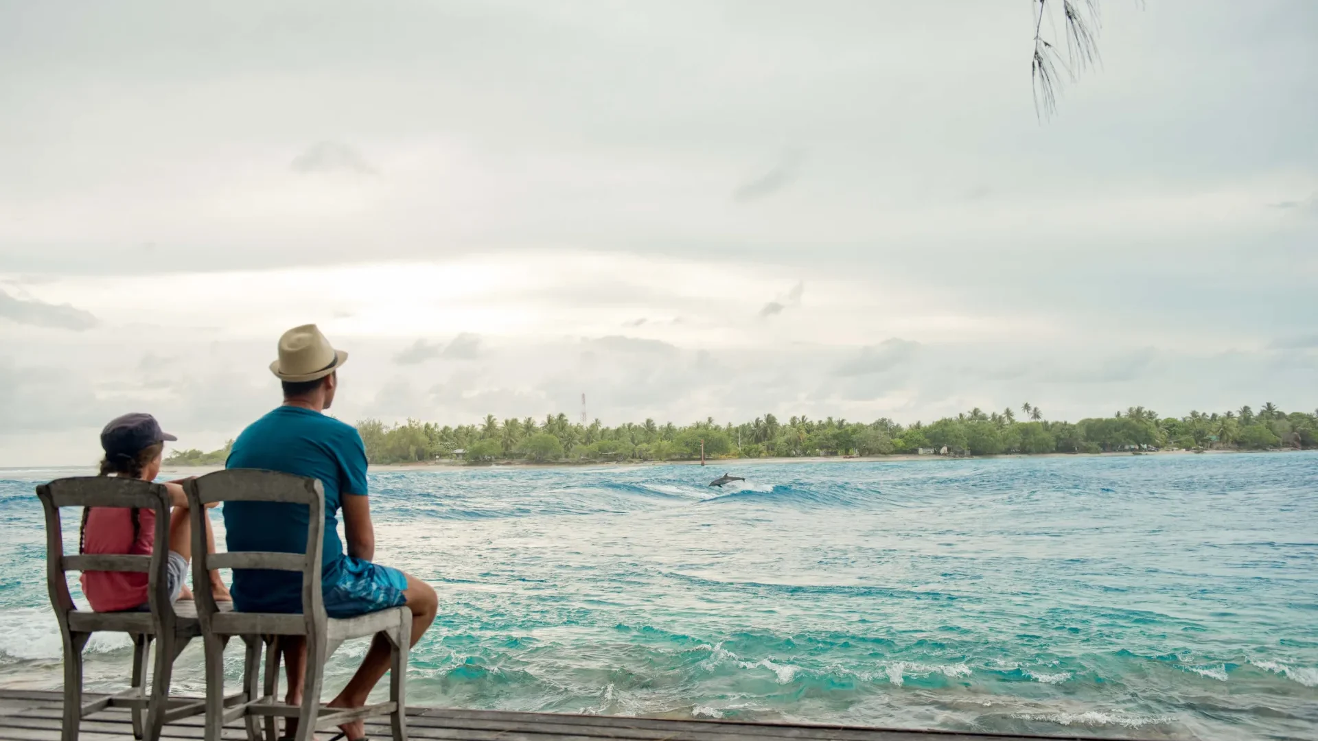 Dolphin watching at Rangiroa © Hélène Havard