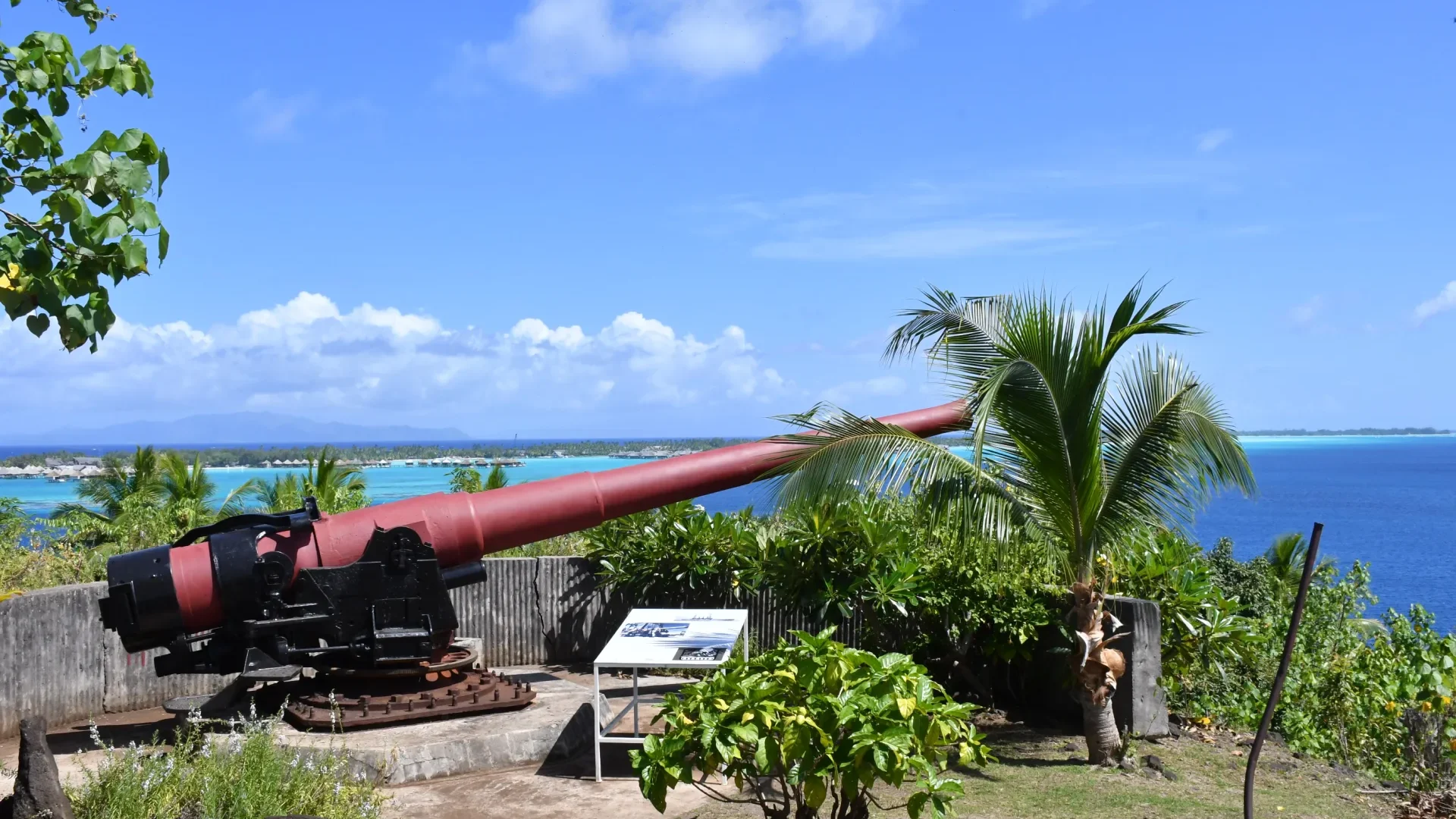Profile of a military cannon on the haamaire site in bora bora association mémoire polynésienne