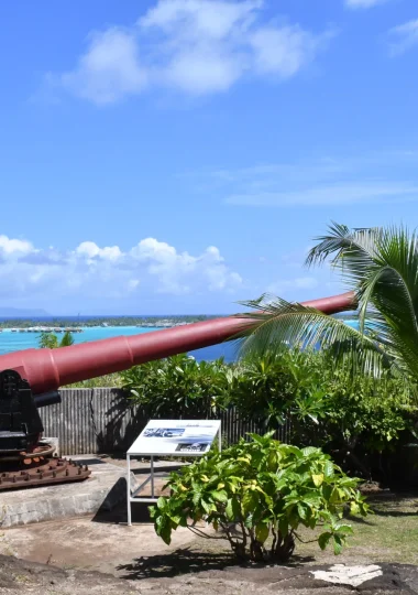 Profile of a military cannon on the haamaire site in bora bora association mémoire polynésienne