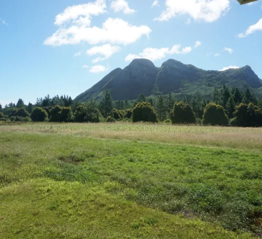 Mount Taitaa in Tubuai © Léa Parizot