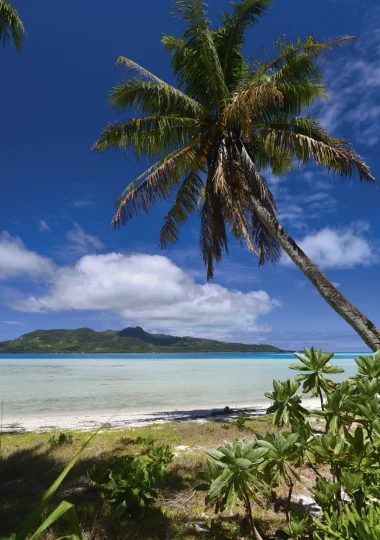 View of Tubuai from the motu © Philippe Bacchet