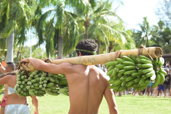 Back fruit carrier with banana bunches © Teriitua Maoni