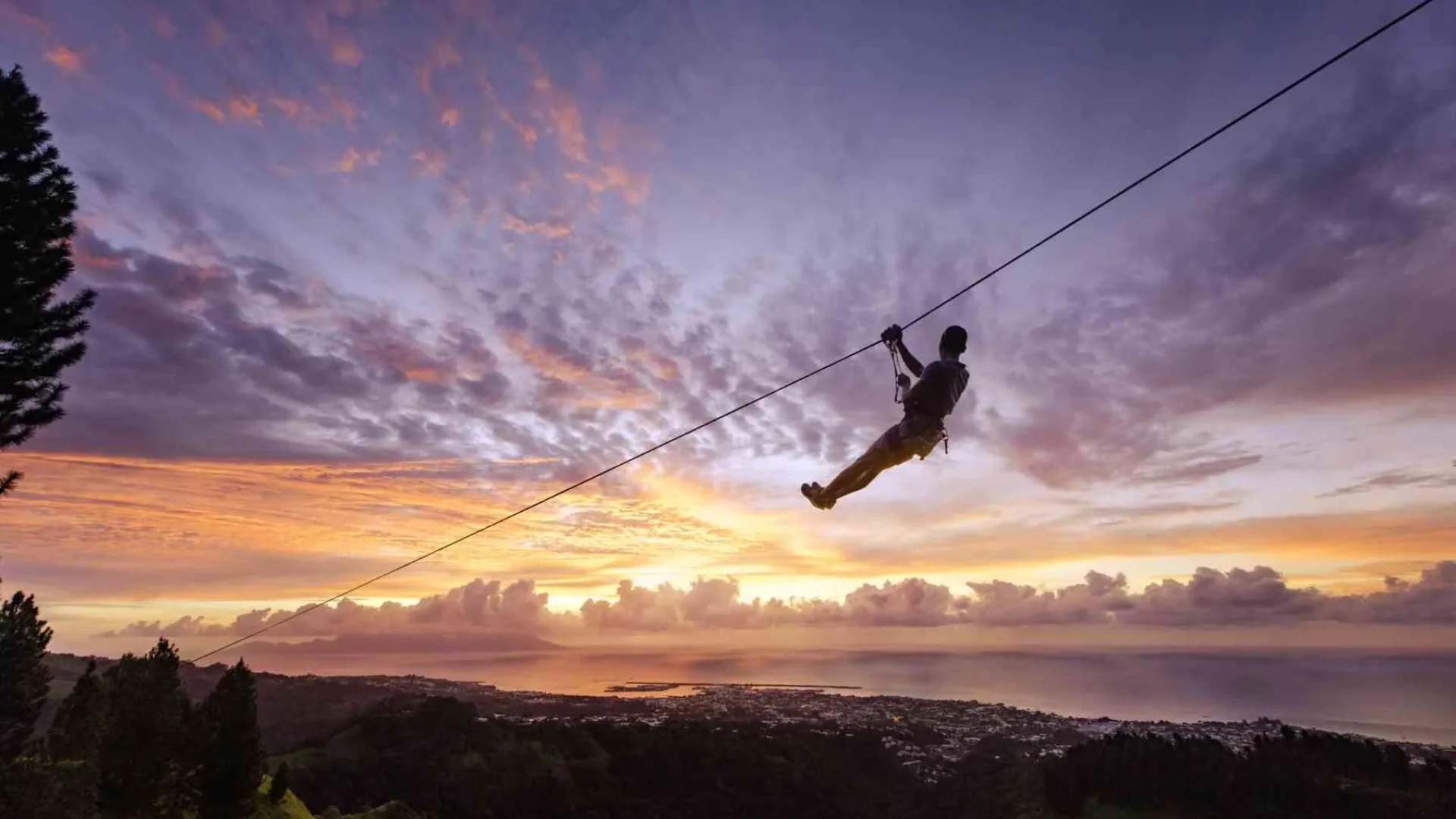 Tree climbing with a view of Papeete