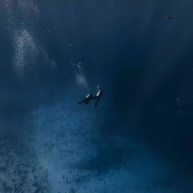 A diving session in The Islands of Tahiti © Alexandre Voyer