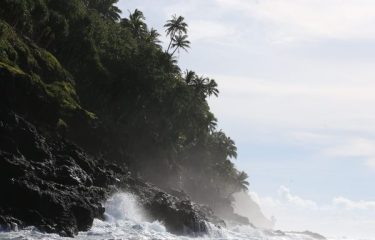 All the Vacation Packages